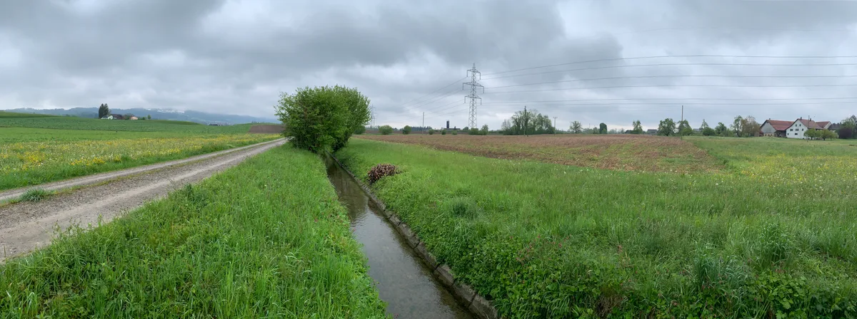 Ein Feldweg, Wiesen, Äcker und ein Bach neben einem Bauernhof.